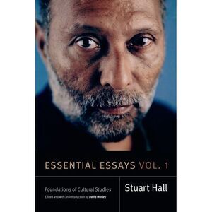 Essential Essays, Volume 1: Foundations of Cultural Studies -- Stuart Hall